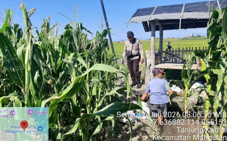 Polsek Mangaran Dukung Asta Cita Presiden Lewat Pendampingan Petani Jagung