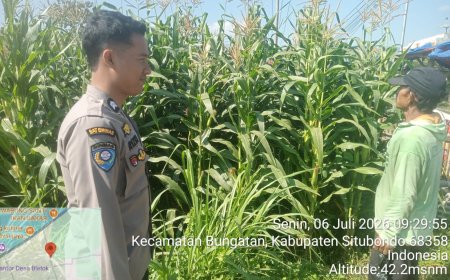 Kapolsek Bungatan Dorong Petani Terus Tanam Jagung untuk Dukung Program Asta Cita Presiden