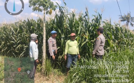 Polsek Mlandingan Dukung Ketahanan Pangan Nasional, Sambangi dan Dampingi Petani Jagung di Desa Mlandingan Kulon