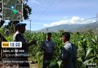 Polsek Mlandingan Laksanakan Pendampingan Petani Jagung untuk Dukung Program Asta Cita Presiden di Bidang Ketahanan Pangan