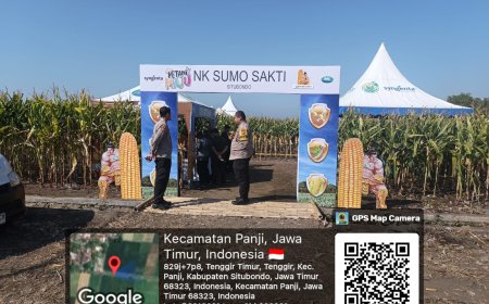 Polsek Panji Laksanakan Pengamanan Kegiatan Expo Benih Jagung NK Sumo Sakti di Desa Tenggir