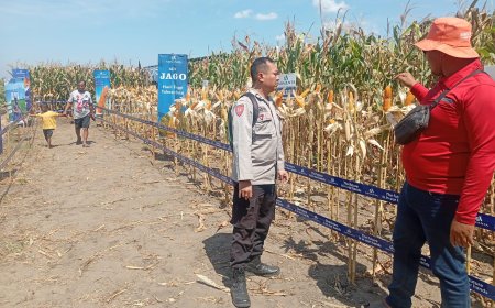 Bhabinkamtibmas Polsek Panarukan Sambangi Petani di Desa Duwet, Ajak Tingkatkan Budidaya Jagung Dukung Program Asta Cita Presiden RI