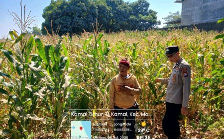 Polsek Mangaran Dukung Asta Cita Presiden, Ajak Petani Jagung Salurkan Hasil Panen ke Mitra Bulog