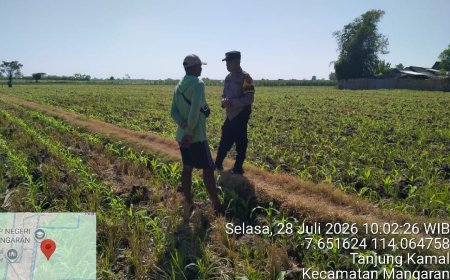 Polsek Mangaran Dukung Asta Cita Presiden, Bhabinkamtibmas Dampingi Petani Jagung Perkuat Ketahanan Pangan