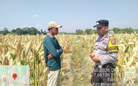Polsek Mangaran Dukung Asta Cita Presiden, Bhabinkamtibmas Dampingi Petani Jagung di Tanjung Kamal