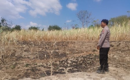 Adanya Titik Api Di Wilayah Desa Wonokoyo Kecamatan Kapongan Kabupaten Situbondo