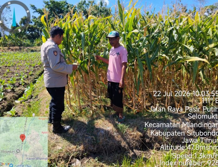 Polsek Mlandingan Intensifkan Pendampingan Petani Jagung sebagai Wujud Dukungan Program Asta Cita Presiden RI