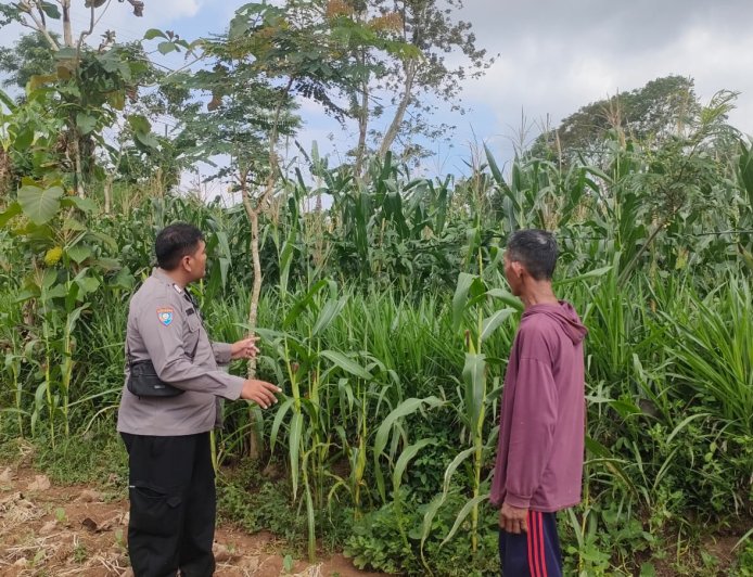Polsek Sumbermalang Laksanakan Patroli Harkamtibmas dan Cek Lahan Warga di Desa Tamansari Dukung Program Asta Cita